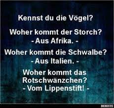 Check spelling or type a new query. 170 Witze Ideen Witze Lustige Spruche Witzige Spruche