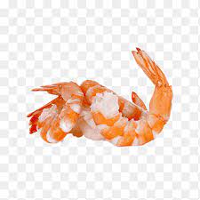 Garnelen Krabbencocktail Garnelen Caridea Garnelen Amerikanischer Hummer Tierquellnahrung Png Pngegg
