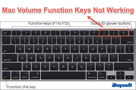 Esc Key Not Working In Windows 10 [Best Solutions]