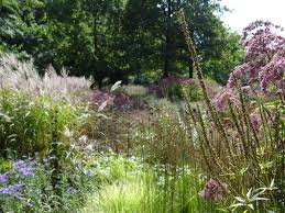 Landscape Ideas 8 Favorite Gardens By Dutch Designer Piet Oudolf Gardenista Dutch Gardens Garden Design Pollinator Garden Design