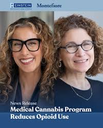 Einstein has named Janice Thomas John, D.O., M.S., M.P.H., as its inaugural  assistant dean for integrated medical education. Dr. John, who is currently  an assistant professor of science education and pediatrics at