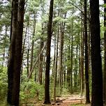 Powder Mill Ledges Hike
