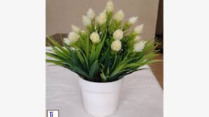 We did not find results for: Artificial Pot Flower Nairobi Central Nairobi Central Kenya