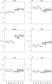 View their freelance projects and hire them to work on your job. Selection Of Suitable Reference Genes For Gene Expression Analysis In Gills And Liver Of Fish Under Field Pollution Conditions Scientific Reports