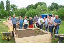 Warendorf Essbare Stadt Stadt Warendorf Wurzel