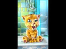 El Gato Amarillo Te Quiero Mucho Mucho Youtube Feliz Cumpleanos Gatos Feliz Cumpleanos Chistoso Feliz Cumpleanos Sobrino
