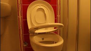 Buna dikkat edilmediği takdirde doğru boyutlarda ürün alınamayacaktır. Klozet Kapagi Montaji Nkp Cocuk Adaptorlu Youtube