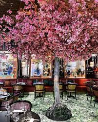 Pin By Erin Brennan On Pretty In Pink Paris Cottages Town And Country Pink Restaurant