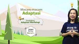 Jawablah pertanyaan dibawah ini dengan benar! Ipa Kelas 6 Penyesuaian Diri Makhluk Hidup Youtube