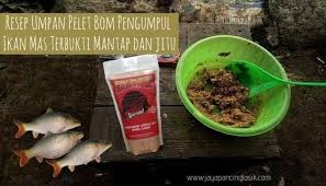 Lebih hemat dan lebih mudah di buat. Resep Rekomendasi Umpan Pelet Bom Ikan Mas Dengan Menggunakan Pelet Super Aquatic Spesial Yang Sudah Terbukti Mantap Dalam Meningkatkan Ratin Beef Food Chicken