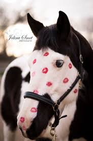 Sofipal large horse stuffed animal plush toy,giant pony unicorn plush doll gifts for kids,valentines,christmas 35.4. Happy Valentine S Day Equestrian Life Horses Pretty Horses Horse Love