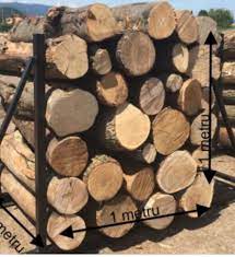 Metropolitan center for research on equity and the transformation of schools (nyu metro center). Lethal Responsibility Of Metru Cub Brad In Fenes Whisksandwit Com