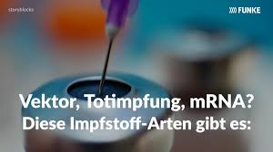 Impfstoff Inhaltsstoffe Das Steckt In Den Corona Vakzinen Bildderfrau De