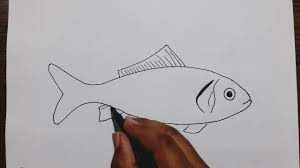 How To Draw A Fish Step By Step Youtube Fish is part of the paraphyletic organisms.
