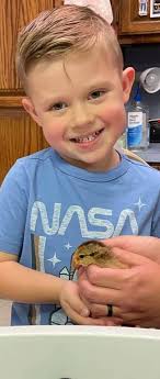 Off the Beaten Path: Summer Fun Adventure Classic Backyard Party Games  Summer Safety Tips from Burns to Bikes Festival Season Be