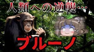 人類への逆襲】チンパンジー「ブルーノ」が引き起こした悲劇… - YouTube