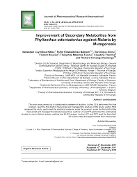 Image result for Phyllanthus odontadenius