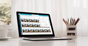 Whilst it is not a digital asset manager job description as such, this article pulls together the skills you should be looking for in your ideal candidate. Digital Asset Management What Is It And Why You Need It