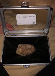 Curated by our editors, our christmas gift guide for your boyfriend is full of unique, interesting and cool gifts destined to put a smile on his face. Christmas Present From My Boyfriend This Year Fossils