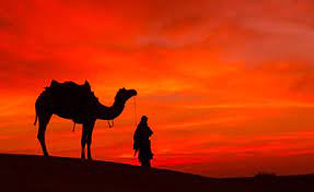 Listen!, the dervish said, trust god, but tie up your camel! Trust In God But Tie Your Camel Khusoko East African Markets