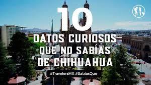 Pin En Chihuahua