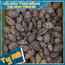 Sò Lụa Đỏ/1kg (Giá Có Thể Thay Đổi Theo Mùa)