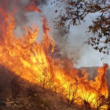 We have been providing fire protection solutions to western canada since 1945. Wildfires 2018 Humans Are Making Fires Worse At Every Step Vox