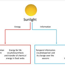 Recessed lighting layout applications of trigonometry. Pdf The Effect Of Light On Humans