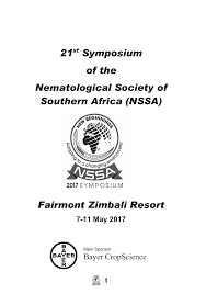 Image result for Siphonochilus parvus