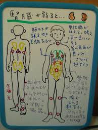 腎臓の不調は目の周りにあらわれる 整体 ツボゲッチューりらく屋 朝霞 看護ノート 健康のモチベーション 腎臓