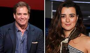 Ncis Did Cote De Pablo And Michael Weatherly Ever Date In Real Life Tv Radio Showbiz Tv Express Co Uk