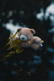Cute pink teddy bear wallpaper for android apk download. 500 Best Teddy Bear Pictures Hd Download Free Images On Unsplash