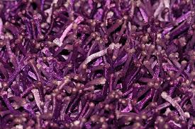 Einfarbig shaggy teppiche oekotex zertifizierte teppiche. Lalee 347128853 Designer Hochflor Shaggy Teppich Handarbeit Langflor Uni Violet Lila Grosse 160 X 230 Cm Amazon De Kuche Haushalt