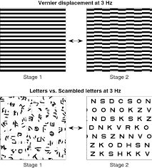 How does word generator work. Neural Sources Of Letter And Vernier Acuity Scientific Reports
