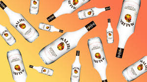 Add malibu rum and coconut cream. 8 Things You Should Know About Malibu Coconut Rum Vinepair
