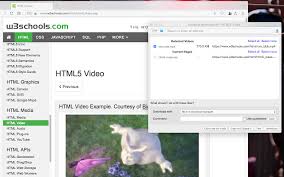 Taking screenshots is simple, but recording a video of chrome or another application you're using can be more complicated. Easy Video Downloader