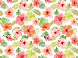 Near hilo, hawaii with foliage in the background. Cute Hawaiian Flowers Wallpapers Top Free Cute Hawaiian Flowers Backgrounds Wallpaperaccess
