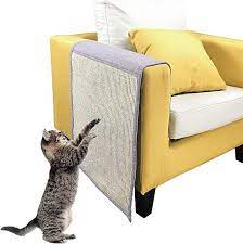 Pin On Cat Stuff