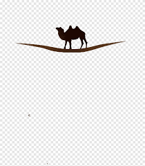 Blizzard clarified how pvp development will appear to be when pvp season eason 1 launches tomorrow. Flooring Pattern Walking Camel Brown Animals Png Pngegg