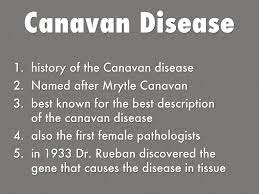 Canavan Disease By Abraham Hyta