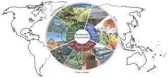 We find that people (insitu and exsitu). Difference Between In Situ And Ex Situ Conservation
