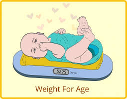 Baby Weight Drawing Cute Colored Cartoon Design Free Vector In Adobe Illustrator Ai Ai Format Encapsulated Postscript Eps Eps Format Format For Free Download 2 24mb How to draw woody woodpecker. baby weight drawing cute colored