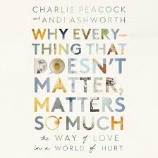 Libro.fm | Why Everything That Doesnt Matter, Matters So Much Audiobook