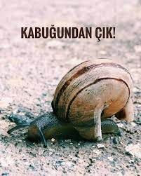 tipki yagmurdan sonra beliren salyangozlar gibi sen de yasadigin kotu deneyimlerden sonra kabugundan cikmak ister misin senin icin uzman koclarimizla bur snail