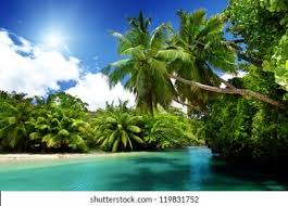 Untuk yang gratis, ada batasan waktu penggunaan. Free Virtual Backgrounds For Zoom Skype And More Shutterstock