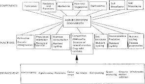 With case studies on a variety of crops and pests, biodiversity and pest management in agroecosystems, second edition explores entomological aspects of agriculture and analyzes the ecological basis for the maintenance. Pdf The Ecological Role Of Biodiversity In Agroecosystems Semantic Scholar