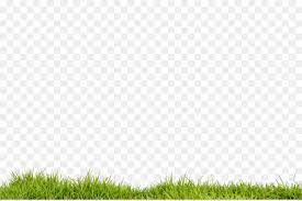 Green Grass Background Seeking for free for picsart png images? green grass background