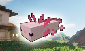 I could also level ground in a default world, but that would take very. Updated Axolotls Animal For Minecraft Pe Android App Download 2021