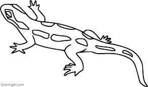 29 Free Printable Salamander Coloring Pages In Vector Format Easy To Print From Any Device And In 2020 Coloring Pages Animal Coloring Pages Graphic Arts Illustration