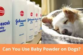 Can You Use Baby Powder On Dogs
